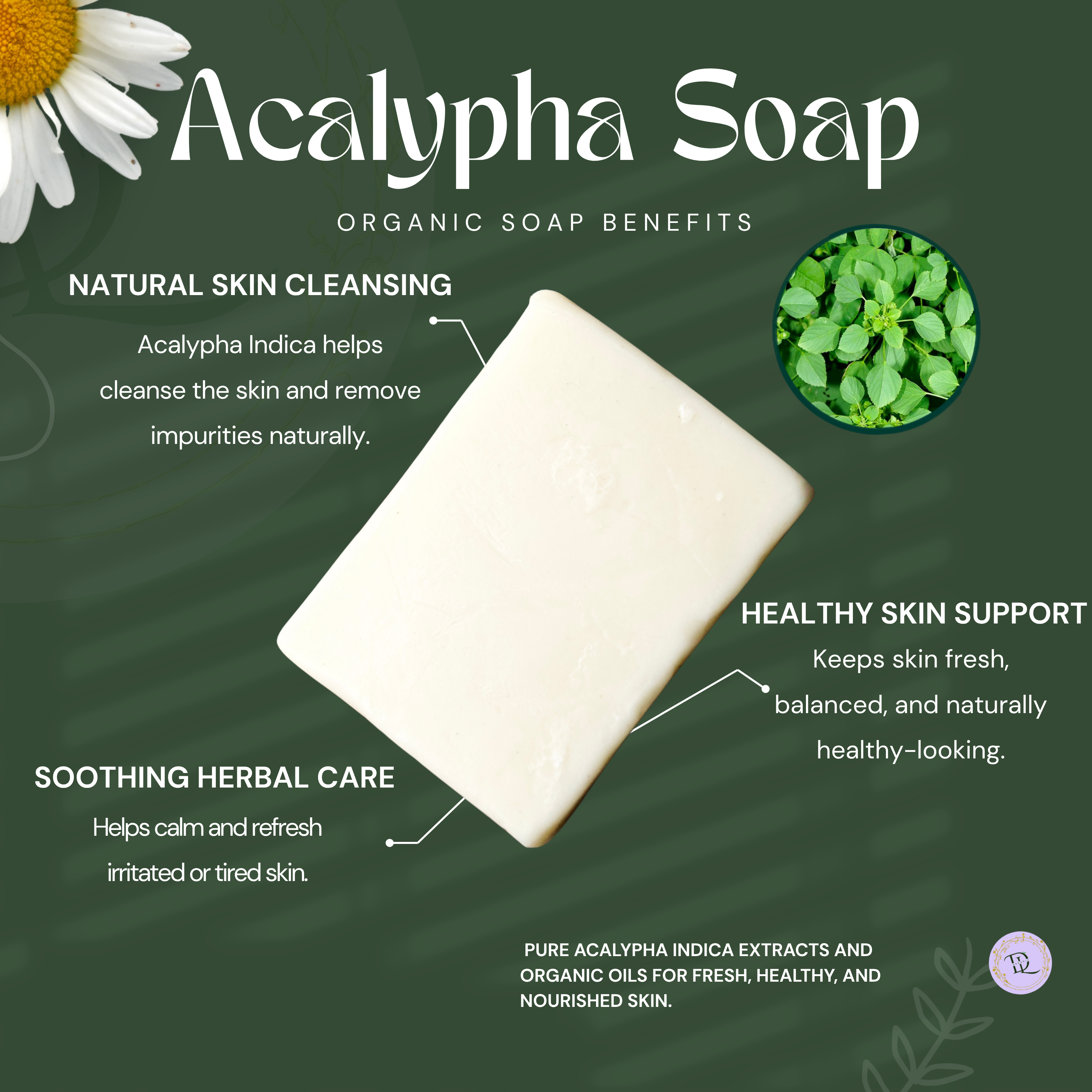 Indian Acalypha (కుప్పింటాకు) Soap Organic (70g-80)